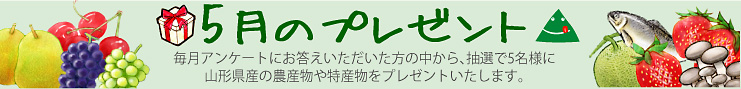 今月のプレゼント