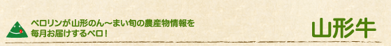 山形牛
