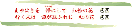 ܂݂͂ɂčg̉ԁ@m