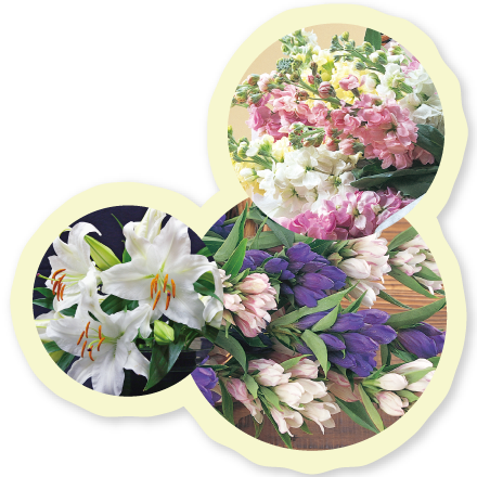 おいしい山形ホームページ