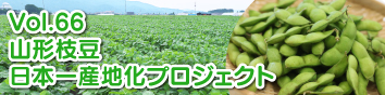 Vol.66FR`}{YnvWFNg