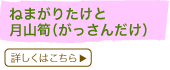˂܂肽ƌR⡁i񂾂j