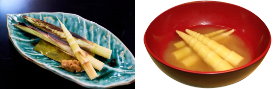 ˂܂肽̗