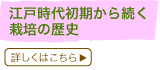 ]ˎ㏉瑱͔|̗j