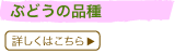 Ԃǂ̕i