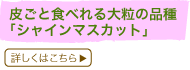 炲ƐHׂ嗱̕iuVC}XJbgv