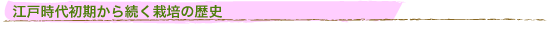 ]ˎ㏉瑱͔|̗j