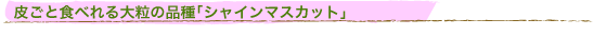 Ԃǂ̕i