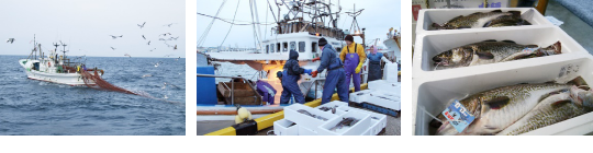 ��т��Ԃŋ��l