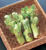 �����R�؂���̉�