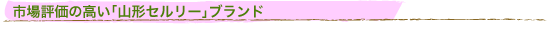 �s��]���̍����u�R�`�Z�����[�v�u�����h