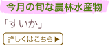 �����̏{�Ȕ_�ѐ��Y��