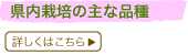 �����͔|�̎�ȕi��